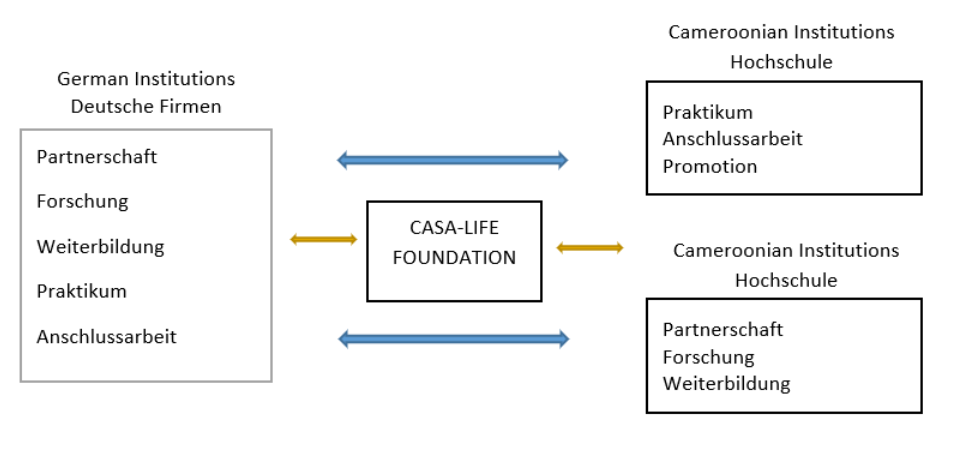 Academic exchange visual